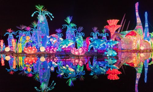 GARDEN GLOW